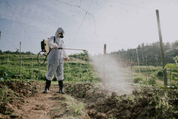 Best Commercial Pest Control Services  in Cedar Hills, UT