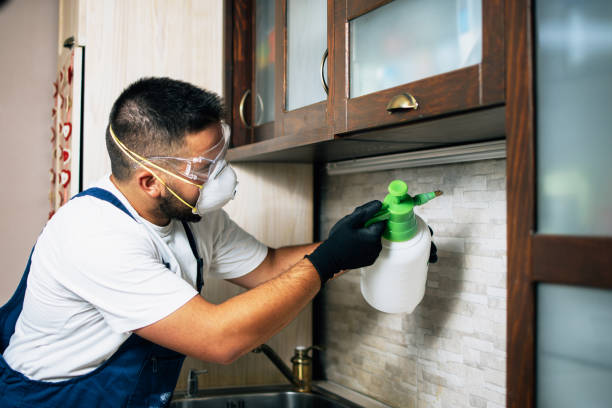 Best Best Pest Control Companies  in Cedar Hills, UT