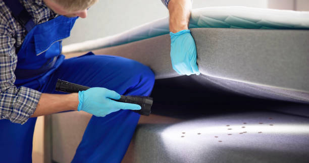 Best Pest Control Near Me  in Cedar Hills, UT